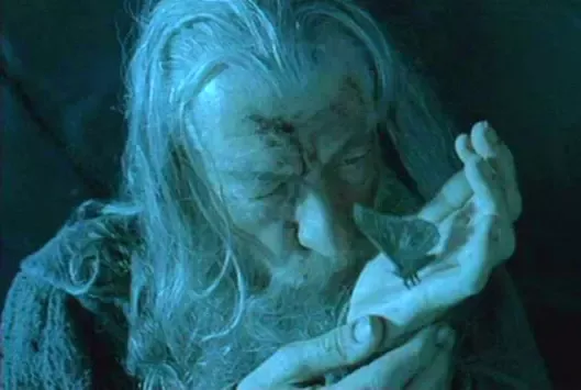 Sir Ian McKellen as Gandalf, whispering a desperate message to a moth cupped in his hand